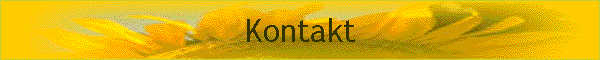 Kontakt